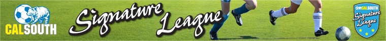 2011 Cal South Signature League - Fall banner